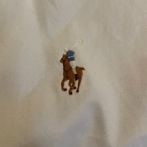 Ralph Lauren long-sleeve button down - Large Classic Fit